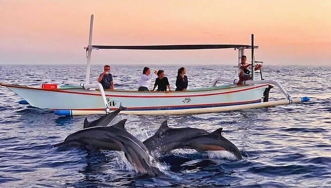 dolphin tour