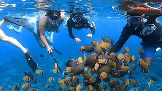 nuspen snorkling