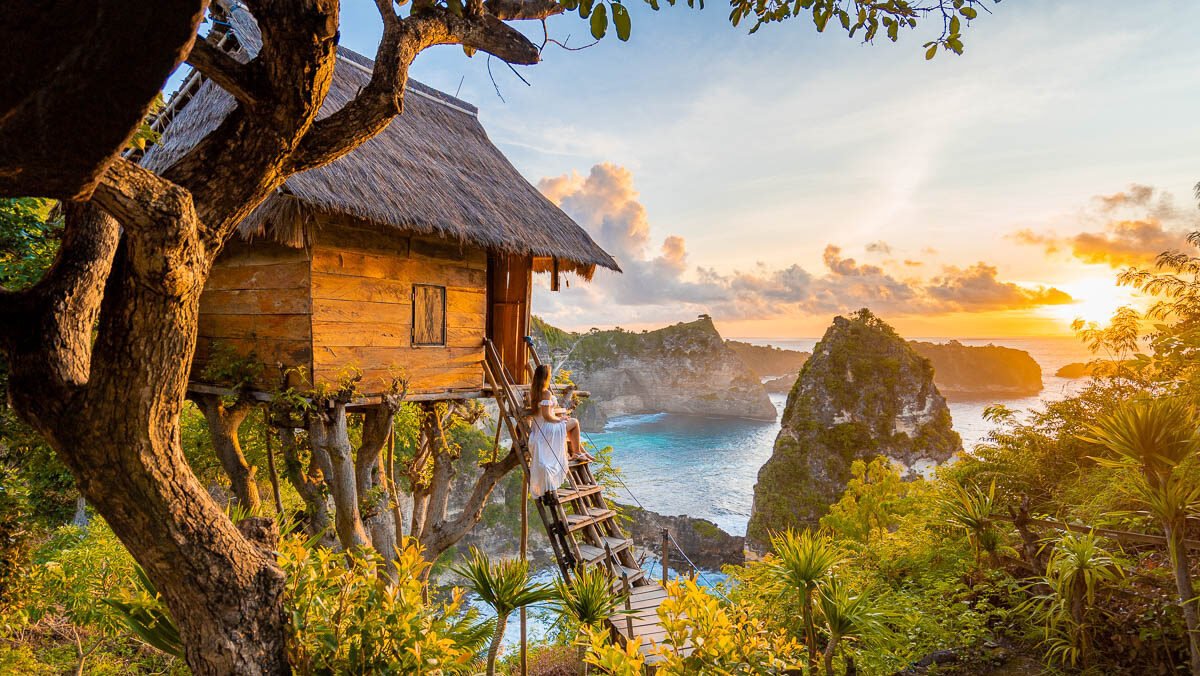 tree house nuspen